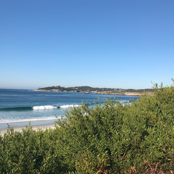 Meet your Posher, Hannah - Picture 1 of 1